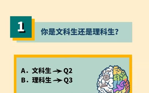 你是哪种东南亚出海创业者？