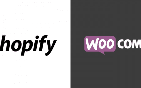 Shopify還是Wordpress？獨(dú)立站建站最接地氣的分析