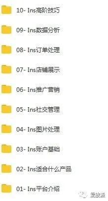INS營(yíng)銷(xiāo)課程