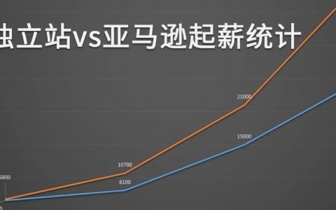 工資有沒有拖后腿，起薪PK獨(dú)立站 vs 亞馬遜電商運(yùn)營(yíng)丨出海筆記