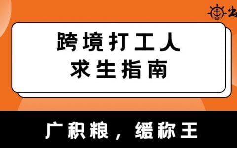 跨境电商求生指引：打工人抗争篇1.0丨出海笔记